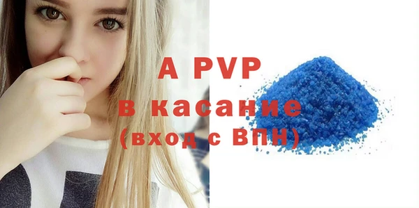 сатива Сатка
