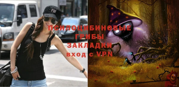 прущие крисы Балахна