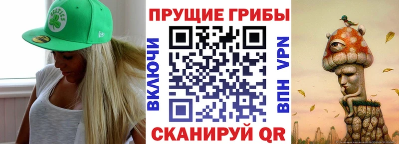 продажа наркотиков  кракен ССЫЛКА  Псилоцибиновые грибы мицелий  Новый Оскол 